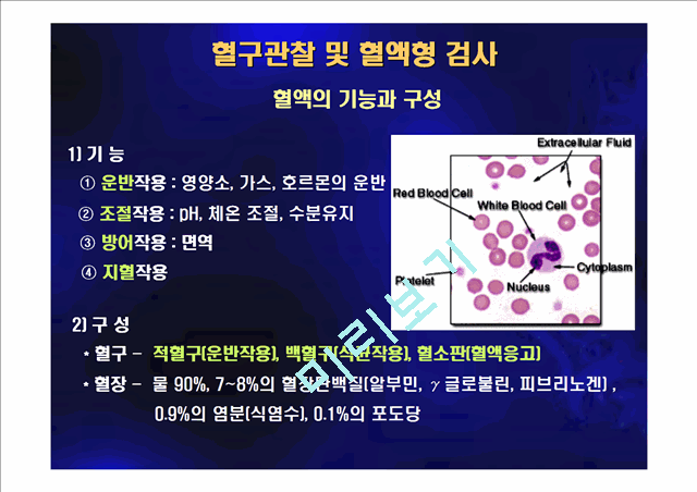 [의학,약학] 혈구관찰 및 혈액형 검사.ppt